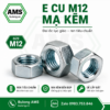 Ecu M12 mạ kẽm