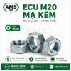 Ecu M20 mạ kẽm