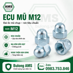 Ecu mũ M12