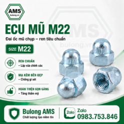 Ecu mũ M22