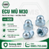 Ecu mũ M30